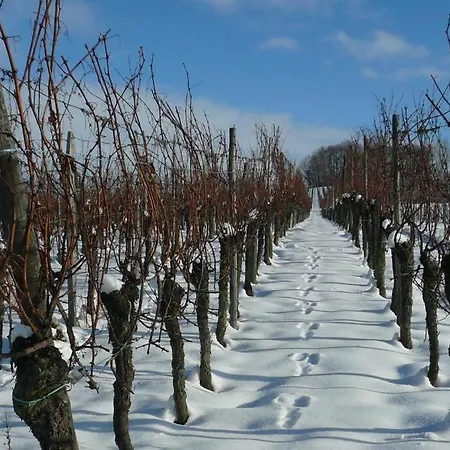 Haury Appartamento *