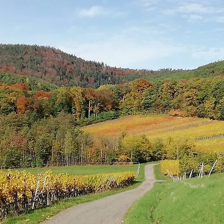 Haury Appartamento Cleebourg